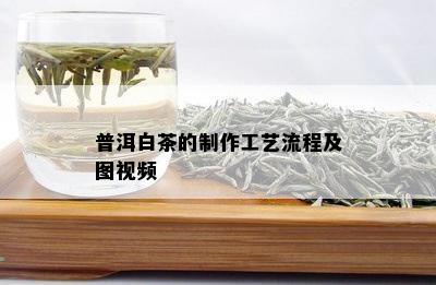 普洱白茶的制作工艺流程及图视频