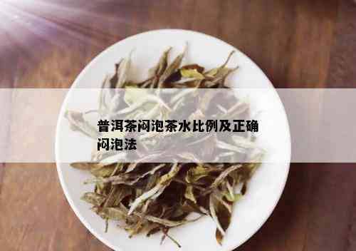 普洱茶闷泡茶水比例及正确闷泡法