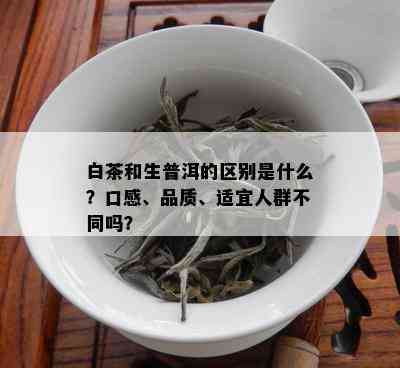 白茶和生普洱的区别是什么？口感、品质、适宜人群不同吗？