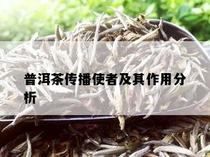 普洱茶传播使者及其作用分析