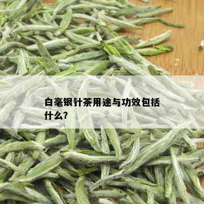 白毫银针茶用途与功效包括什么？