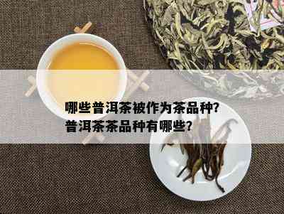 哪些普洱茶被作为茶品种？普洱茶茶品种有哪些？