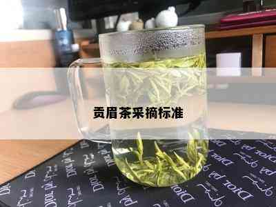 贡眉茶采摘标准