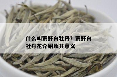 什么叫荒野白牡丹？荒野白牡丹花介绍及其意义