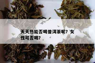 天天热能否喝普洱茶呢？女性可否喝？