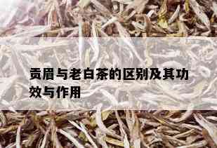 贡眉与老白茶的区别及其功效与作用