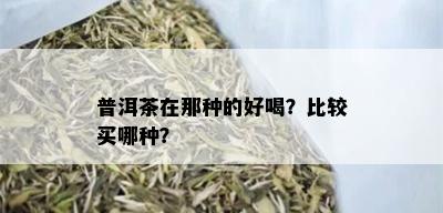 普洱茶在那种的好喝？比较买哪种？