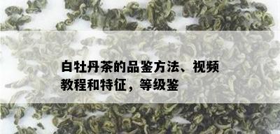 白牡丹茶的品鉴方法、视频教程和特征，等级鉴