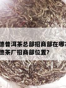 德普洱茶总部招商部在哪？德茶厂招商部位置？