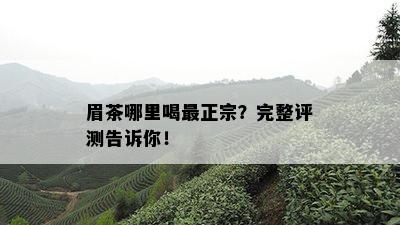 眉茶哪里喝最正宗？完整评测告诉你！