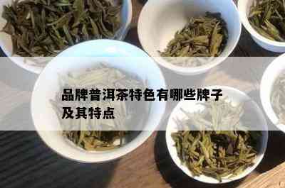 品牌普洱茶特色有哪些牌子及其特点