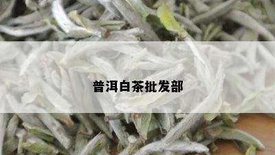 普洱白茶批发部