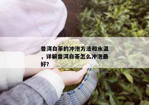 普洱白茶的冲泡方法和水温，详解普洱白茶怎么冲泡更好？