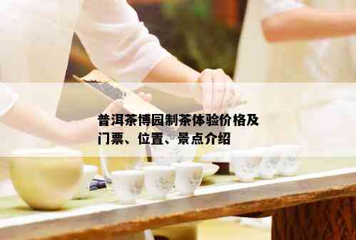 普洱茶博园制茶体验价格及门票、位置、景点介绍