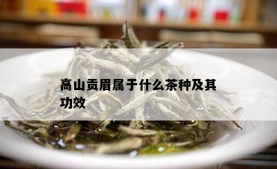 高山贡眉属于什么茶种及其功效