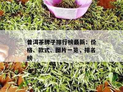 普洱茶牌子排行榜最新：价格、款式、图片一览，排名榜