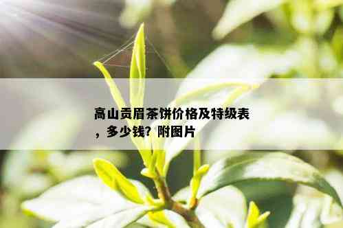 高山贡眉茶饼价格及特级表，多少钱？附图片