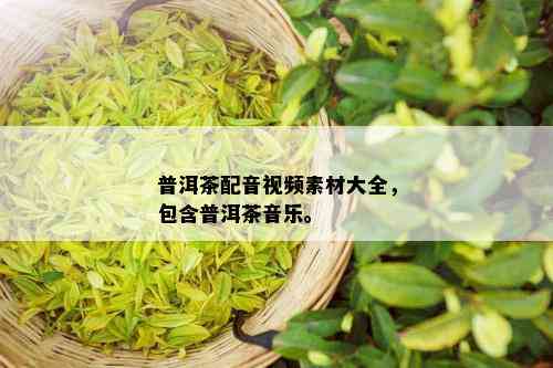 普洱茶配音视频素材大全，包含普洱茶音乐。