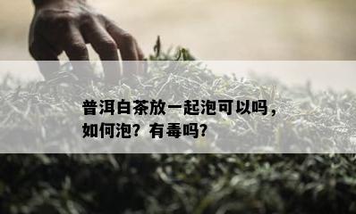 普洱白茶放一起泡可以吗，如何泡？有吗？