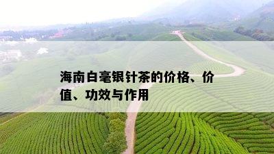 海南白毫银针茶的价格、价值、功效与作用