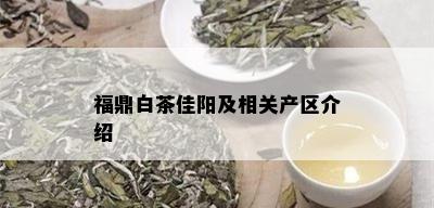 福鼎白茶佳阳及相关产区介绍