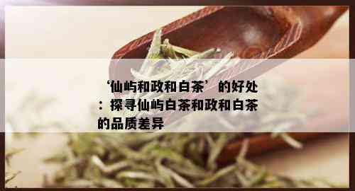 ‘仙屿和政和白茶’的好处：探寻仙屿白茶和政和白茶的品质差异