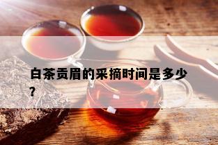 白茶贡眉的采摘时间是多少？