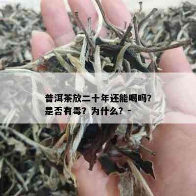 普洱茶放二十年还能喝吗？是否有？为什么？-