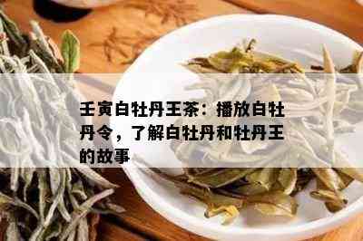 壬寅白牡丹王茶：播放白牡丹令，了解白牡丹和牡丹王的故事