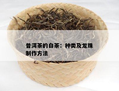 普洱茶的白茶：种类及龙珠制作方法