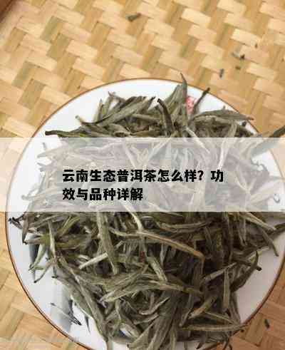 云南生态普洱茶怎么样？功效与品种详解