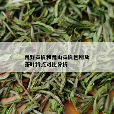 荒野贡眉和荒山贡眉区别及茶叶特点对比分析