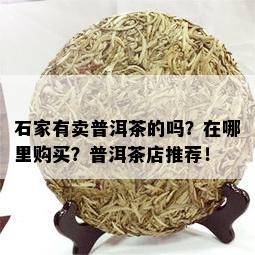 石家有卖普洱茶的吗？在哪里购买？普洱茶店推荐！