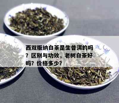 西双版纳白茶是生普洱的吗？区别与功效，老树白茶好吗？价格多少？