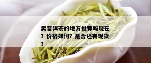 卖普洱茶的地方推荐吗现在？价格如何？是否还有现货？