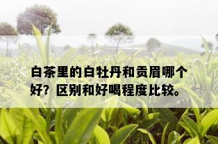 白茶里的白牡丹和贡眉哪个好？区别和好喝程度比较。