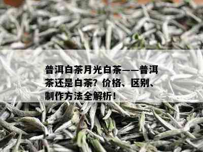 普洱白茶月光白茶——普洱茶还是白茶？价格、区别、制作方法全解析！