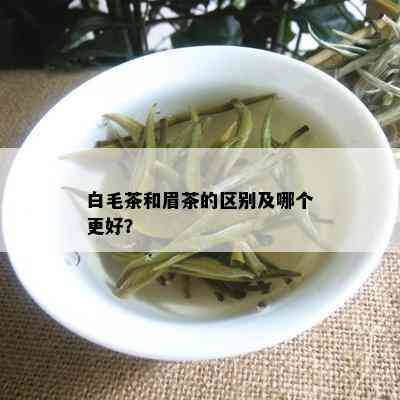 白毛茶和眉茶的区别及哪个更好？