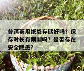 普洱茶用纸袋存储好吗？保存时长有限制吗？是否存在安全隐患？