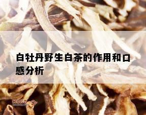 白牡丹野生白茶的作用和口感分析