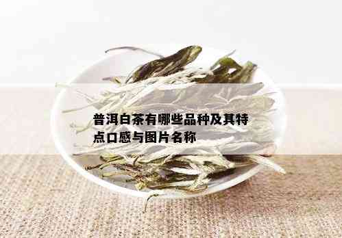 普洱白茶有哪些品种及其特点口感与图片名称