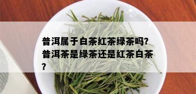 普洱属于白茶红茶绿茶吗？普洱茶是绿茶还是红茶白茶？