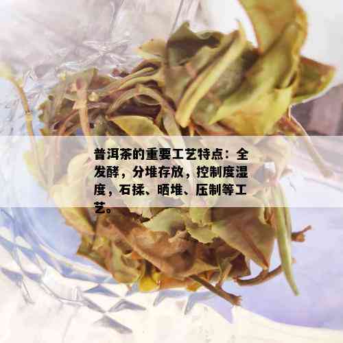 普洱茶的重要工艺特点：全发酵，分堆存放，控制度湿度，石揉、晒堆、压制等工艺。