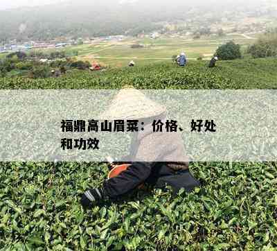 福鼎高山眉菜：价格、好处和功效