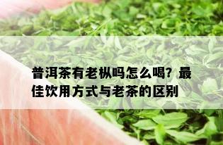 普洱茶有老枞吗怎么喝？更佳饮用方式与老茶的区别