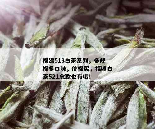 福建518白茶系列，多规格多口味，价格实，福鼎白茶521念款也有哦！