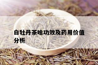 白牡丹茶啥功效及用价值分析