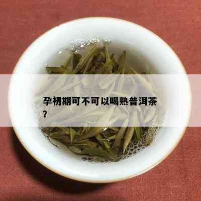 孕初期可不可以喝熟普洱茶？