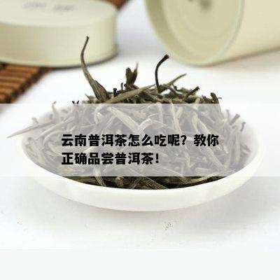 云南普洱茶怎么吃呢？教你正确品尝普洱茶！