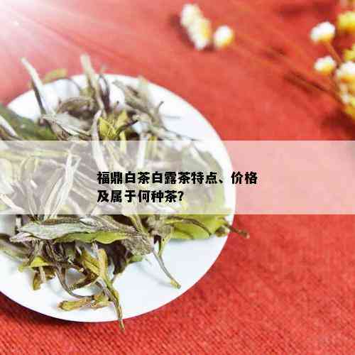 福鼎白茶白露茶特点、价格及属于何种茶？